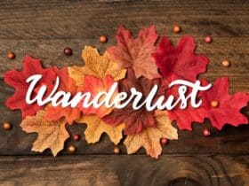 découvrez les meilleures sorties automne pour profiter des couleurs chatoyantes de la saison. activités en plein air, événements culturels et escapades gourmande vous attendent pour vivre des moments inoubliables.